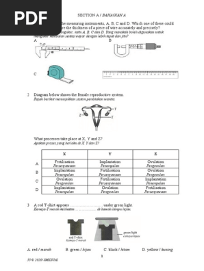 55 C 2020 Smksuai Pdf