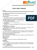 CHAPTER 4 CELL AND TISSUES