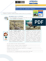 02-06 Qué Sabemos Sobre Los Animales I PDF