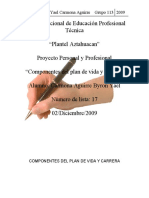 Ensayo de Proyecto Profesional