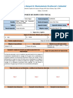 E1 - Formato para Reporte de INSPECCIÓN VISUAL