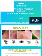 Picaduras y Mordeduras (Prevencion y Primeros Auxilios) PDF