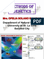 Model Organisms in Genetics Research