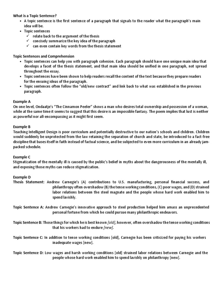 Topic Sentences (Discussion) | PDF