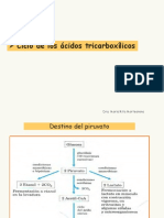 Unidada 5 Metabolismo H de C-Ciclo de Krebs