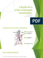 Irányelvek A Mesenteriális Érbetegek Kezelésében