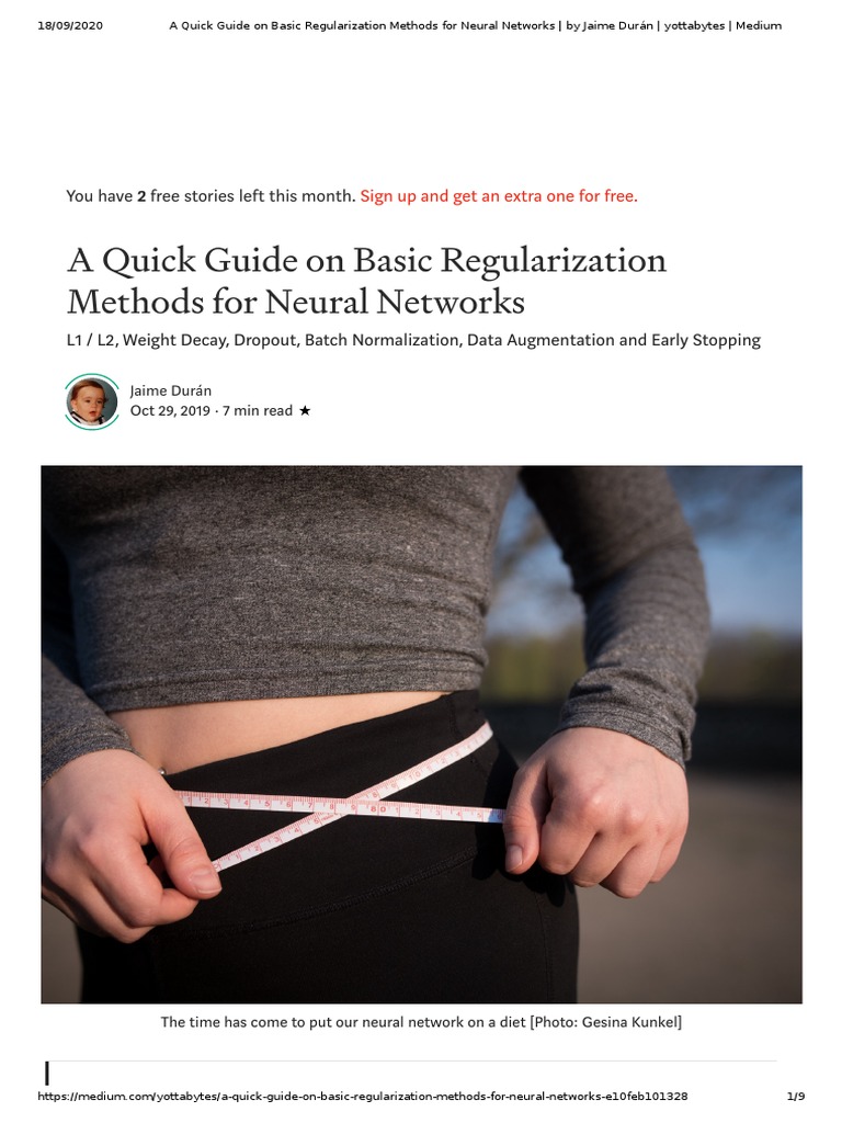 Regularization Techniques for Neural Networks | PDF | Artificial Neural ...