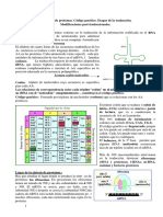 Biosíntesis de Las Proteínas