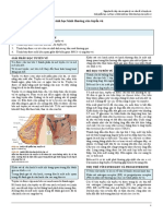 Vấn đề thường gặp ở tuyến vú PDF