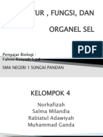 Kelompok 4 PPT - Struktur, Fungsi Dan Organel Sel