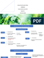 Estructura de Los Modelos de Negocios Verdes