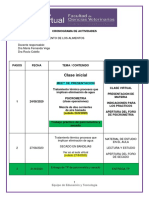 Cronograma Virtual 2020