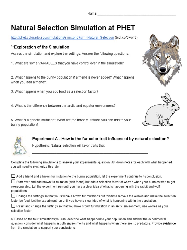 natural-selection-simulation-basic-pdf-natural-selection-paleontological-concepts-and-hypotheses