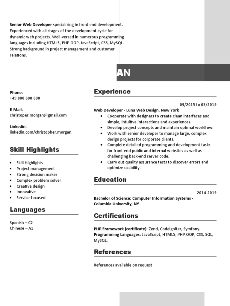 Senior Front End Web Developer Resume | PDF | Art