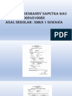 Presentation1 Converted Compressed PDF