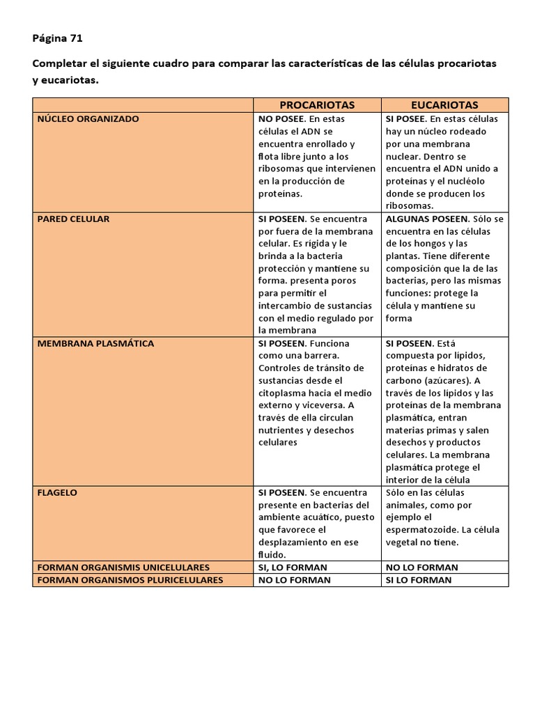 Celulas Eucariotas y Procariotas Gero | PDF | Citoplasma | Nucleo celular