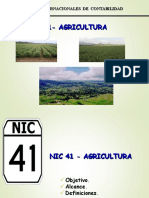 NIC 41 - Grupal