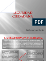 Seguridad ciudadana - copia.pptx