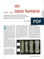 El_origen_de_la_mano_humana.pdf