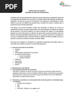 Instructivo Informe de Practica Profesional