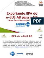 Apres eSUS - Orientação BPA