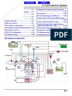 F LN25 - 30-4 Fuel Injection System PDF