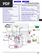 F LN25 - 30-4 Fuel Injection System PDF