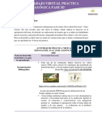 1.TRABAJO VIRTUAL PRÁCTICA INCLUSIÓN AGOSTO 18 AL 29