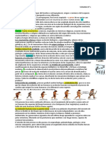 Origen y Evolucion de Hombre