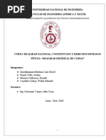 Realidad distrital de Comas (1).docxENTREGA-FINAL.docx