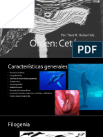 Cetáceos PDF