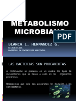 Metabolismo microbiano: clases y procesos