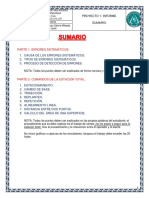 Sumario Informativo Informe 1 PDF