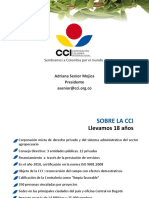 Ampliacioncci PDF