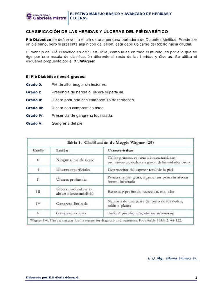 Clasificación Wagner | PDF