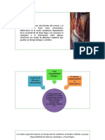 Protesis, Injertos y Sustitutos Vasculares