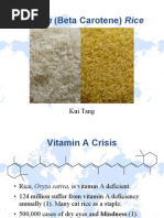 Download Golden Rice by kuitang SN4769423 doc pdf