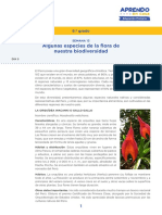 s13-prim-6-recurso-anexo-algunas-especies-de-la-flora-biodiversidad-dia-5 (1).pdf