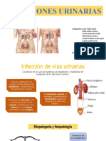 INFECCIONES URINARIAS: CAUSAS, SÍNTOMAS Y TRATAMIENTO