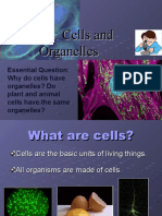 Cell Organelles Notes