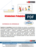 Orientaciones Pedagógicas Experiencias de aprendizaje PDF