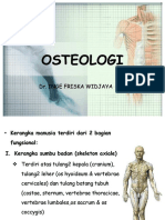 Osteologi
