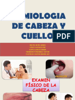 Semiologiadecabezaycuelloimprimiruap 140421231216 Phpapp01 PDF