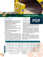 Perfil de Ing. de Minas PDF