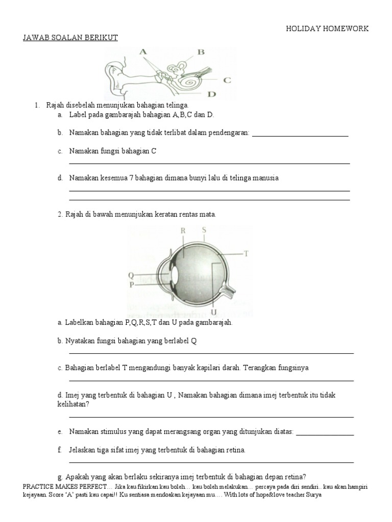 Latihan Sains Tingkatan 2 Bab Satu Pdf