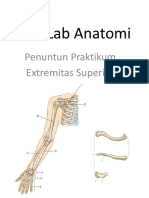 Kunci SL 3 Extr. Superior PDF