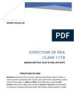 Structure of Dna