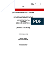 04. Modelo_Plan_Auditoia_Definitivo_.docx