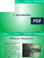 Mangrove - Ecosystems - PowerPoint Techniques