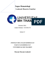 Hematologi Leukosit 5c - Annisa Mutiara - 1010181170